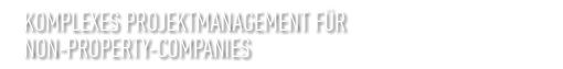 Komplexes Projektmanagement für Non-Property-Companies